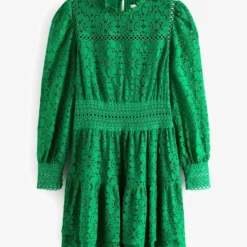 Next LONG SLEEVE LACE MINI STANDARD - Cocktailkleid/festliches Kleid - Green -Günstiges Fem Glanz Geschäft 757693ff663242798caac289161358ad