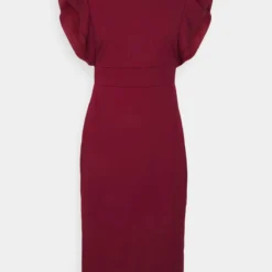 DIANA - Cocktailkleid/festliches Kleid - Berry Wine -Günstiges Fem Glanz Geschäft c6615560963c4b19b080ecfd8a0ac0e0